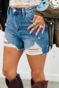 High Rise Distressed Denim Shorts