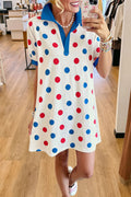 Polka Dot Collared Polo Mini Dress